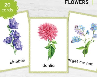 Printable Flower Flashcards - Montessori Educational Homeschooling Materials - Watercolor 3-part Learning Cards