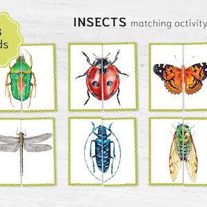 Quebra-cabeça de correspondência de INSETOS. Aventura de simetria de insetos! Explore padrões em borboletas, insetos e bichos!