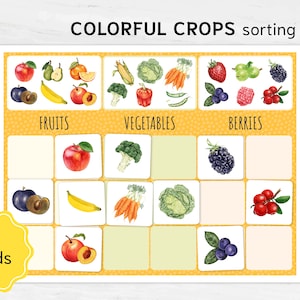 May include: A set of 18 colorful cards featuring images of fruits, vegetables, and berries. The cards are arranged in three columns labeled "Fruits", "Vegetables", and "Berries". Each card has a single image of a different fruit, vegetable, or berry.
