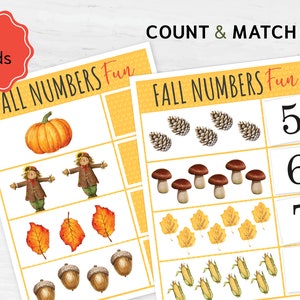 Pode incluir: Dois cartões educativos com o texto "FALL NUMBERS Fun" e "COUNT & MATCH". Os cartões apresentam ilustrações de abóboras, espantalhos, folhas, bolotas, pinhas, cogumelos e milho. Os números 5, 6, 7 e 8 são exibidos.