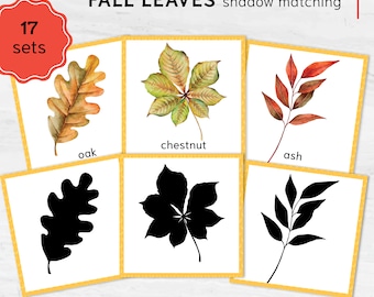 Autumn Leaves Shadow Matching Game for Kids - Montessori Leaf Learning Activity