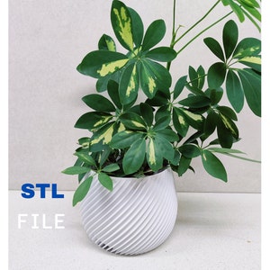 3D stl printing file for a plant pot, vase, minimalist, interior decoration, flower pot, instant download
