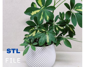 3D-Stl-Druckdatei für einen Blumentopf, eine Vase, minimalistisch, Innendekoration, Blumentopf, direkter Download