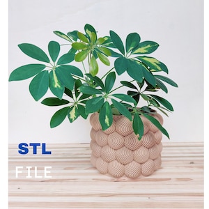 Puede incluir: Una maceta impresa en 3D con un diseño ondulado y orgánico de color marrón claro. Una planta verde con hojas variegadas está creciendo en la maceta. La maceta está sentada sobre una superficie de madera. STL FILE.