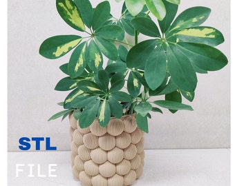 Archivo de impresión stl 3D para maceta, jarrón de burbujas, decoración de interiores, maceta, descarga instantánea