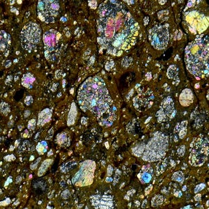 May include: A cross-section of a meteorite showing a dark brown matrix embedded with numerous multicoloured chondrules. The circular and irregular inclusions display vibrant iridescent hues of blue, pink, yellow, and green throughout the rock.
