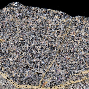 Puede incluir: Una sección transversal de un meteorito que presenta una matriz cristalina oscura con granos minerales entrelazados en tonos carbón, plata y azul profundo, atravesada por vetas finas de color tostado claro en la superficie.
