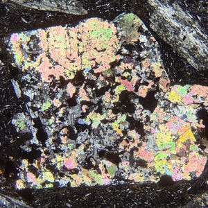 May include: A microscopic view of a mineral thin section featuring a large, irregularly shaped crystal with vibrant, iridescent interference colours including pink, yellow, green, and blue, interspersed with dark, opaque inclusions and fractures.