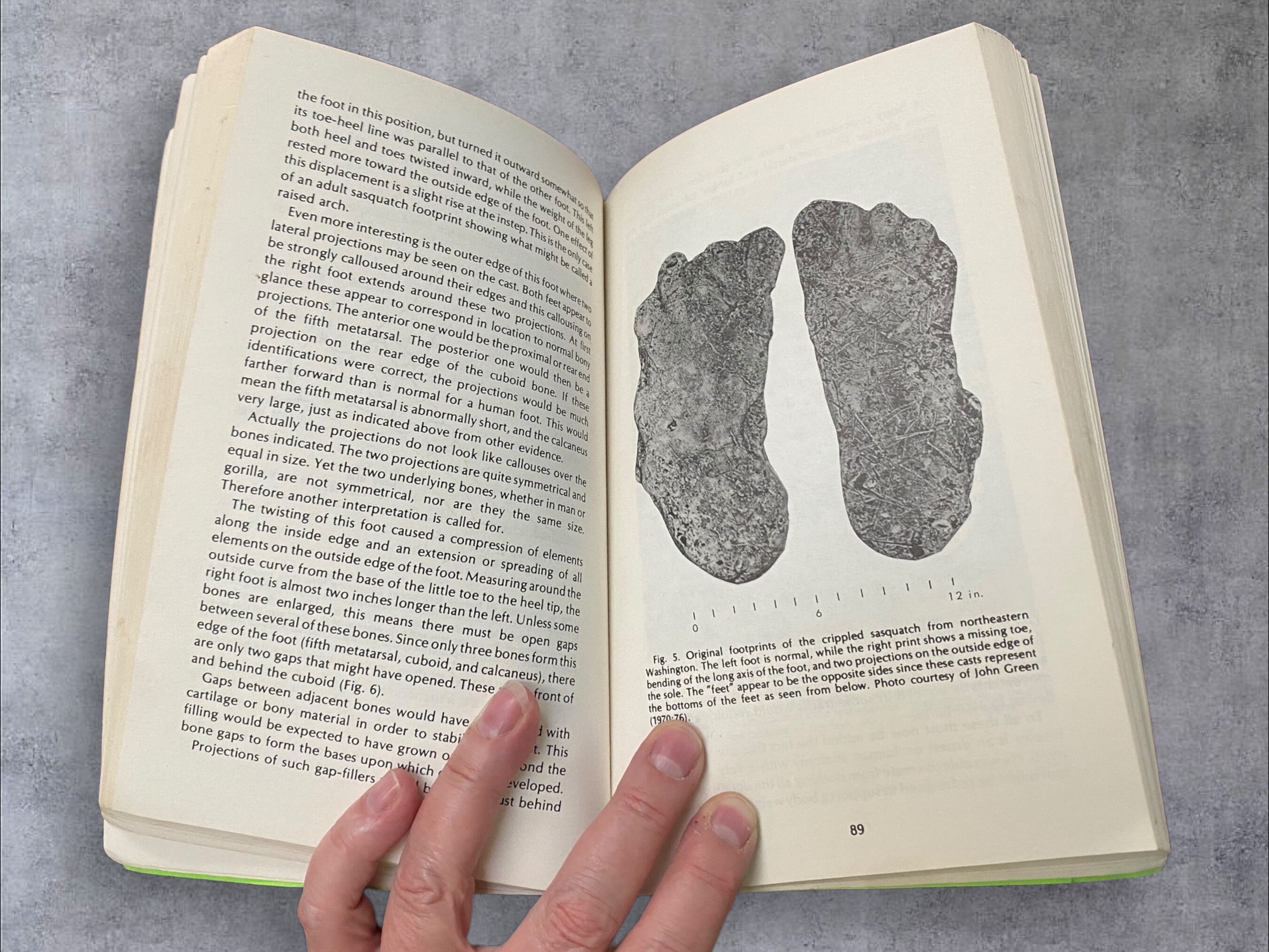 Roderick Sprague The Scientist Looks at the Sasquatch II, Edited by Roderick Sprague and ...