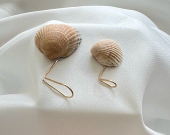 May include: Two seashells with gold wire attached to the back. The seashells are on a white fabric background.