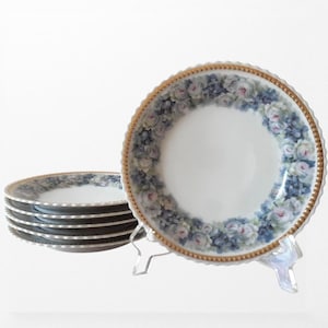 Puede incluir: Un juego de platos de porcelana blanca con un diseño floral. Los platos presentan un patrón de rosas azules y rosas alrededor del borde, con un ribete dorado. Un plato está sobre un soporte y una pila de platos está a la izquierda.