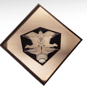 May include: Framed artwork featuring a symmetrical design of birds in flight. The central image is a black hexagon with white bird illustrations. The frame is a dark brown color, and the background is a light beige.
