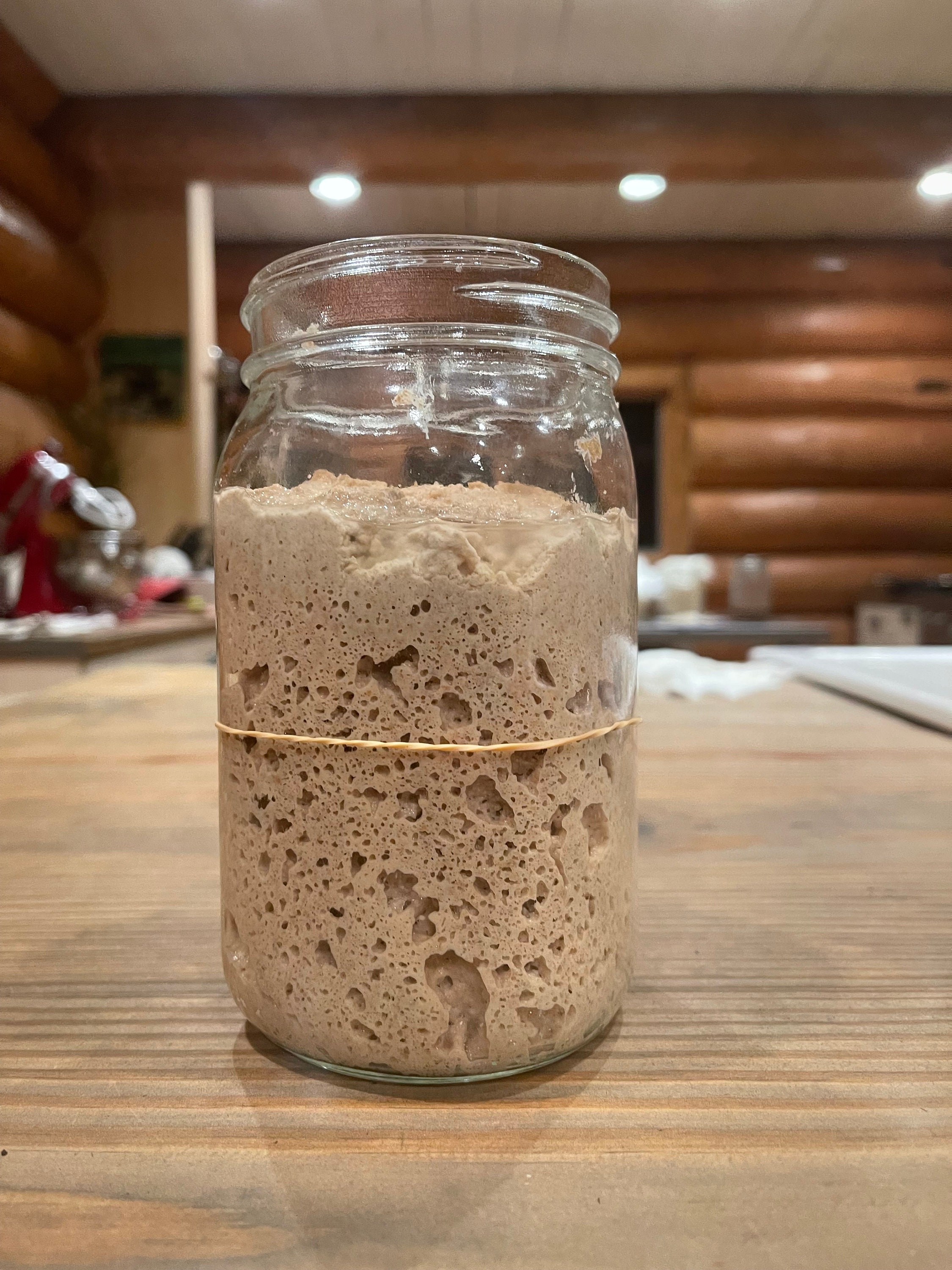 Freshly Milled Organic Sourdough Starter for Home Bakers