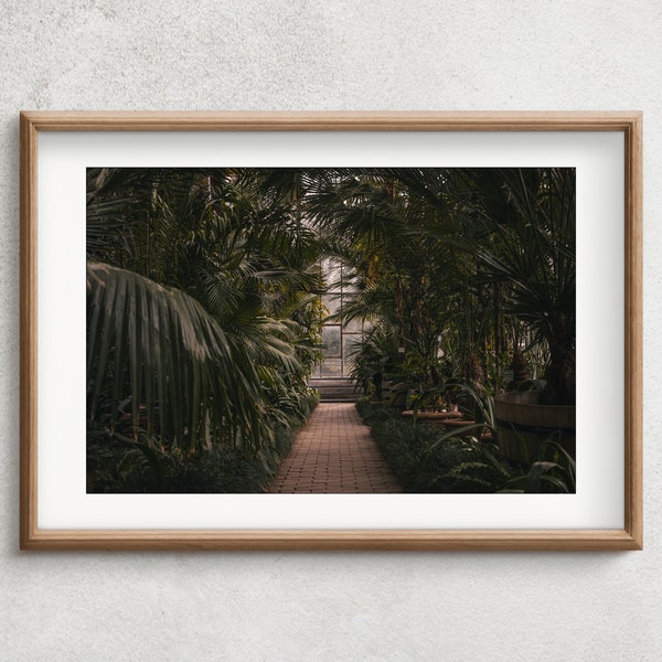 Tropical Greenhouse Photography | Indoor Garden Walkway | Digital Print | Wall Art