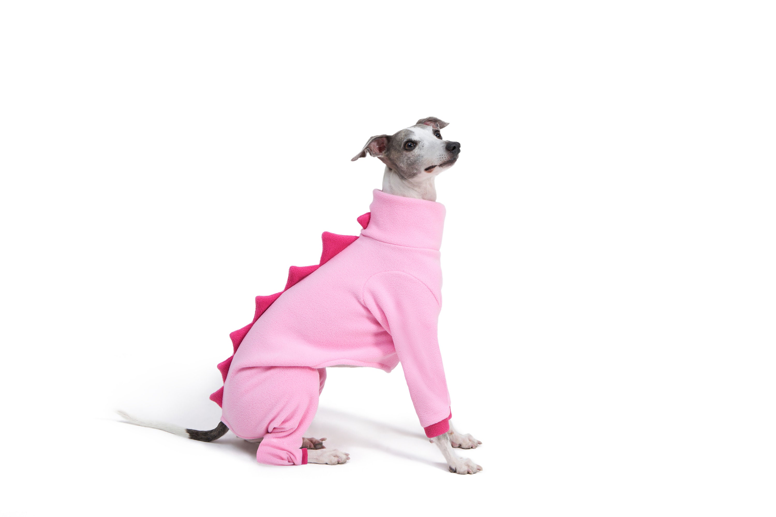 Vatertag Karte Windhund Whippet Lurcher Italienischem - Custom Text