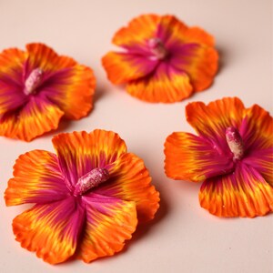 K&ouml;nnte beinhalten: Vier orangefarbene und rosafarbene Hibiskusbl&uuml;ten mit gekr&auml;uselten Bl&uuml;tenbl&auml;ttern. Die Bl&uuml;ten sind auf einem hellrosa Hintergrund angeordnet.