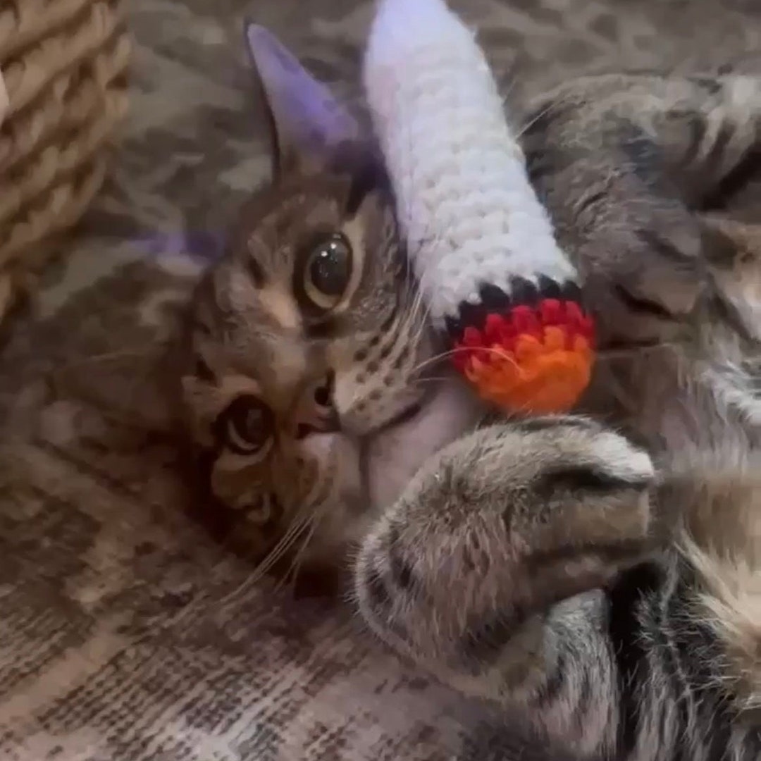 Catnip Joint Cat Toy Crocheted Doobie Catnip Weed Toy Gifts Etsy