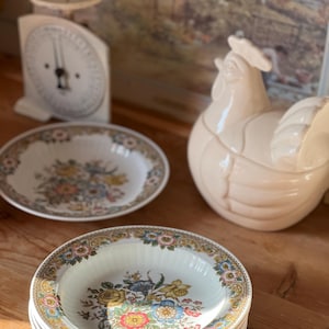 Charming Vintage Winterling Marktleuthen Bavaria | 6 soup plates with beautiful Floral Design Motifs