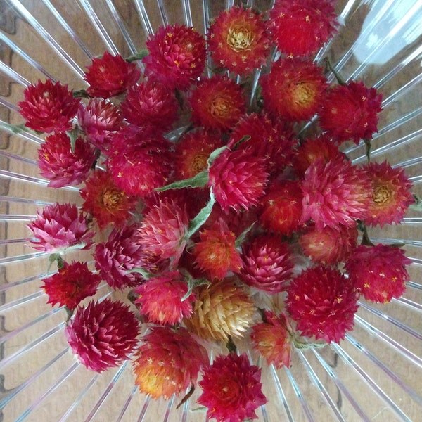 Gomphrena Flower Heads, Dried. Orange, Pink, Purple. Crafts, Rituals, Bath Sets, Resin, Bowls, Wedding, Country, Garden Grown