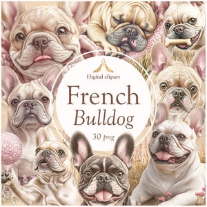 Französische Bulldogge Clipart Pack – Süße Frenchie Dog PNGs, digitale Bulldoggen Illustrationen für Sublimation, Sticker, Karten & Basteln