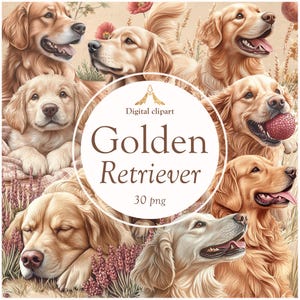 Golden Retriever Clipart Bundle | Cute Dog PNGs, Pet Illustrations, Puppy Sublimation Graphics, Printable Dog Art for Stickers & Crafts