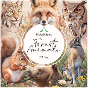 Paquete de imágenes prediseñadas de animales del bosque: ilustraciones para manualidades, bricolaje, tarjetas y decoración | Descarga instantánea