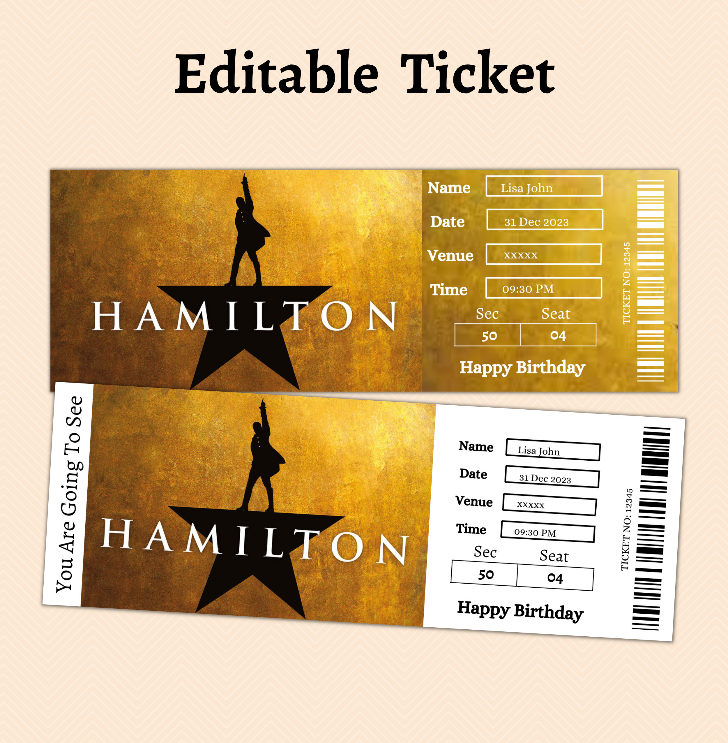 Hamilton Musical Printable Broadway Surprise Ticket, Fake Hamilton