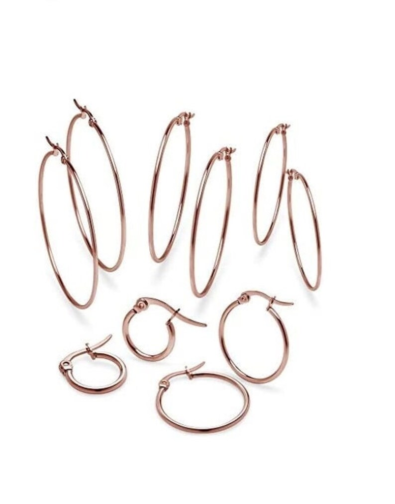 316L Surgical Steel Round Stainless Steel Hoop Earrings 2mm Rose Gold Color L Minimalist Unisex