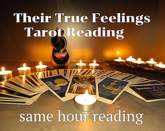 Same Hour Tarot Love Reading - How Do They Feel About You? Fast Psychic Reading