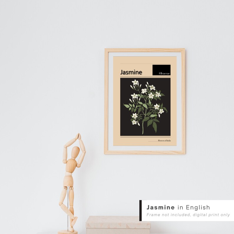 Jasmine Flower Print Flowers of Punjab Pop Art Flower Etsy