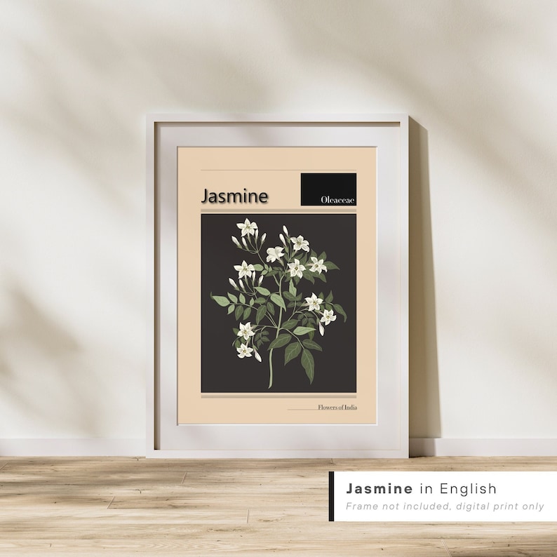 Jasmine Flower Print, Flowers of Punjab, Pop Art, Flower Print, Floral