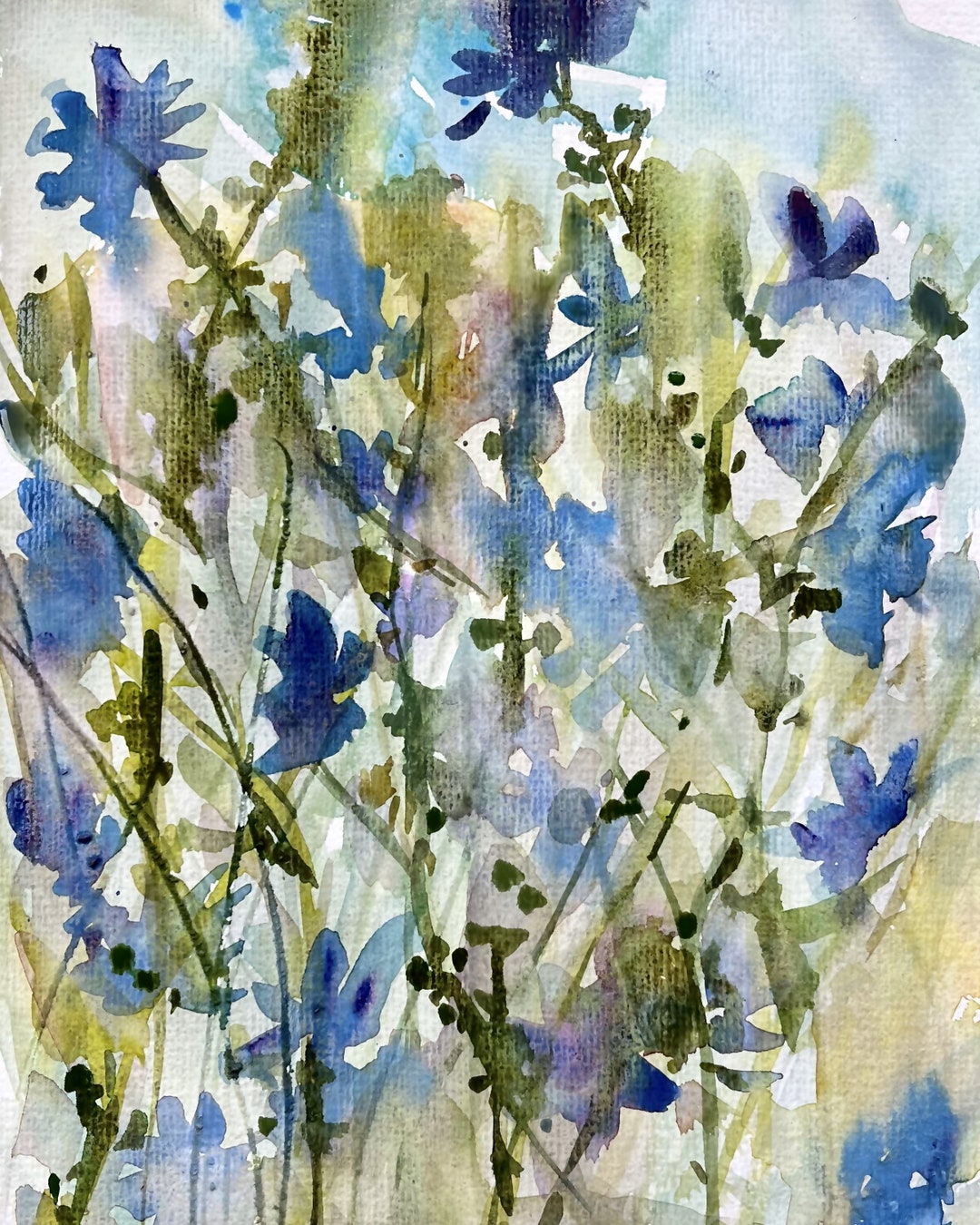 The "chicory" Fine Giclee Watercolor Print 8x10 Blue Wild Flowers - Etsy