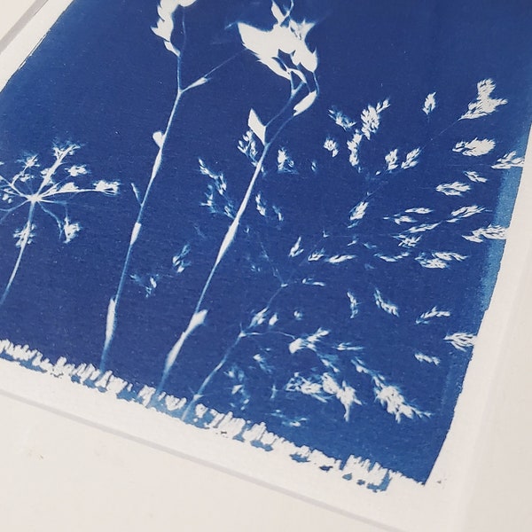 Cyanotype encadré - 13x18 - Pièce unique