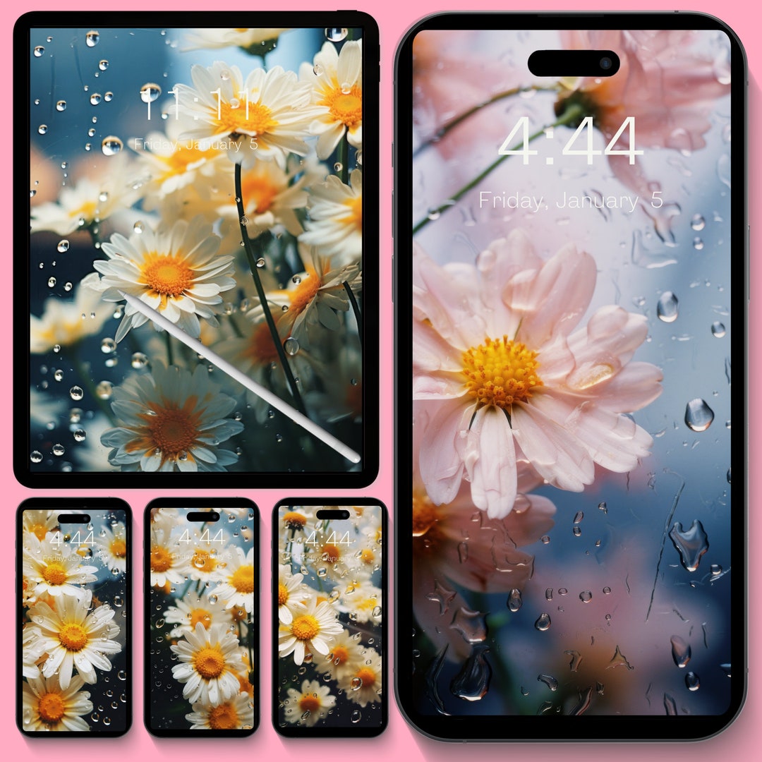 Daisy Rain Wallpaper I iPhone Floral Background Lockscreen Aesthetic