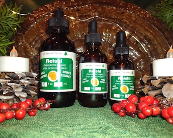 Reishi-paddenstoel -Ganoderma tsugae-Vruchtlichaam-Wildcrafted-Dubbel Extract