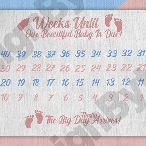 Weeks Until Baby Is Due A4 Printable Countdown, Unisex.