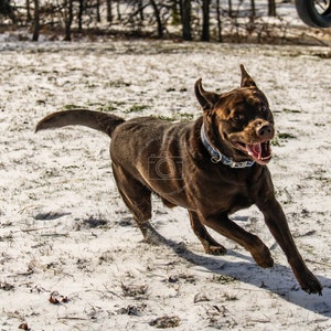 Snow Much Fun!