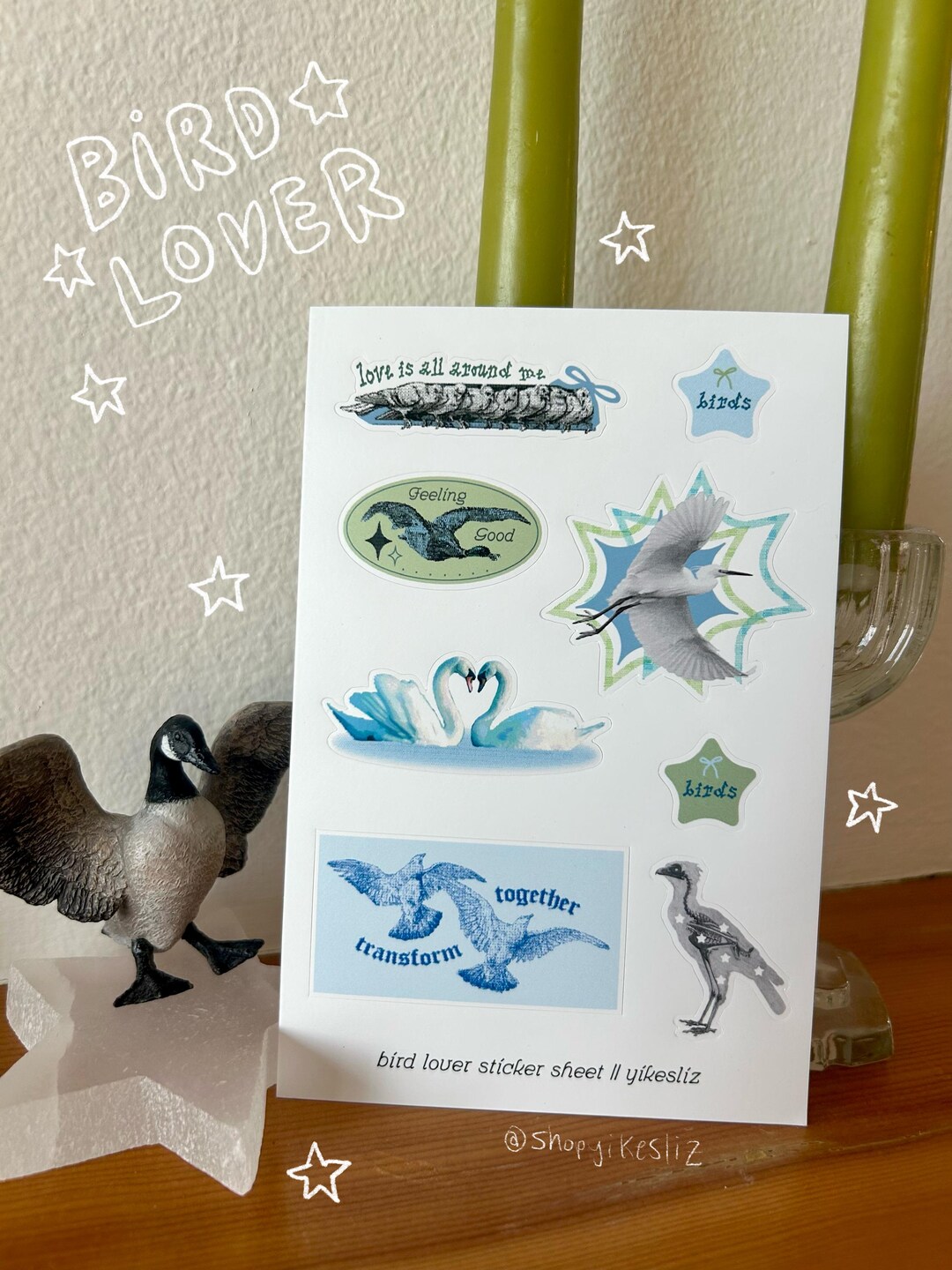 Bird Lover Vinyl Sticker Sheet || Birding, Swans, Ducks, Bird Stickers ...