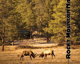 Two Icons in Estes Park, 18x24