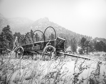 Winter Wagon
