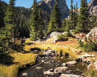 Emerald Lake Trail-RMNP, 18x24