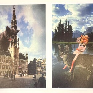 Cat Collage Prints