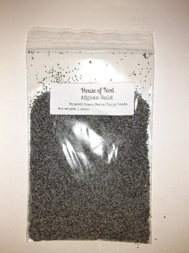 Afghan Poppy Seeds, Papaver Somniferum. 1 ounce. Fast, Free, and Discrete Shipping image 2