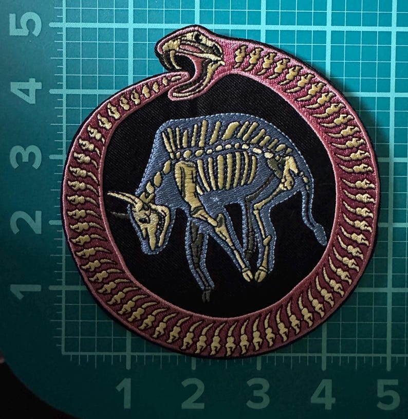 Oddity Patch Rome 5” Ouroboros Skeleton Iron on Patch for Denim Jacket Punk Bones Occult ...