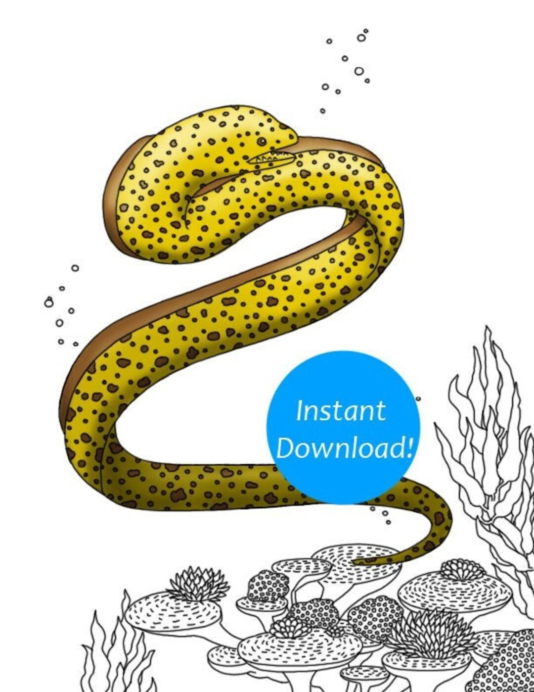 Printable Coloring Book Page Moray Eel Etsy