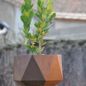 Op de afbeelding: Een geometrische, roestige plantenbak met een kleine groene plant die erin groeit. De plantenbak staat op een stapel bruine stenen.