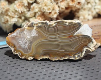 Unique Agate Cut Polish - Laguna Pattern Banded - Superb Agate Slice - Banded - Beautiful Laguna Agate Indonesia - Agate Cut