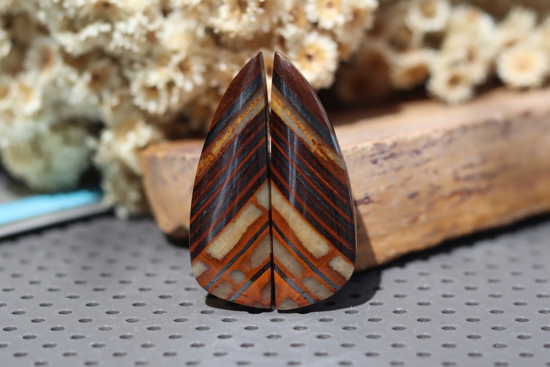 Worth to Buy Tiger Eyes Opalized Wood Earrings Opalized Wood Pairs