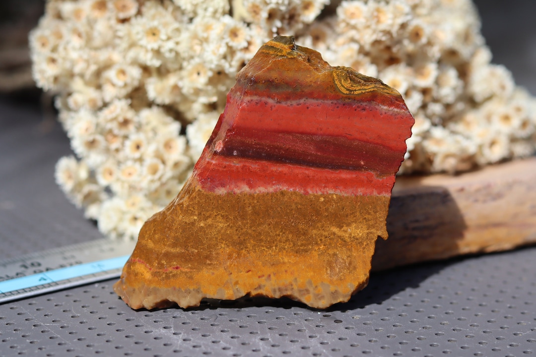 Red Opalized Petrified Wood Cut Dry Stone on Last 2 Photos Opal Wood Petrified Wood Stone