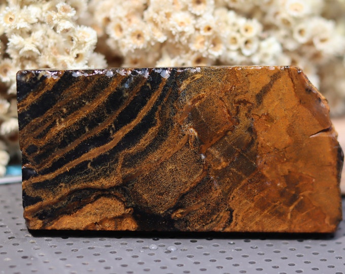 Tiger Skin Opalized Petrified Wood Stones Cut Opal Wood Etsy